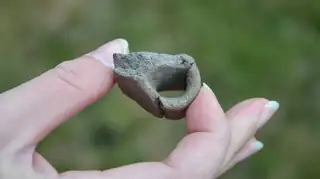 Archaeological Finds and the History of Scandinavia
