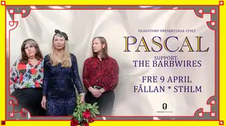 PASCAL support: The Barbwires