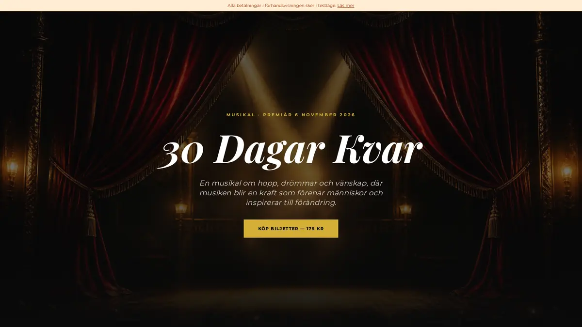 The Musical "30 Days Left" — Zätateatern, Stockholm