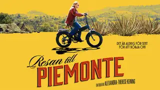 The Journey to Piedmont