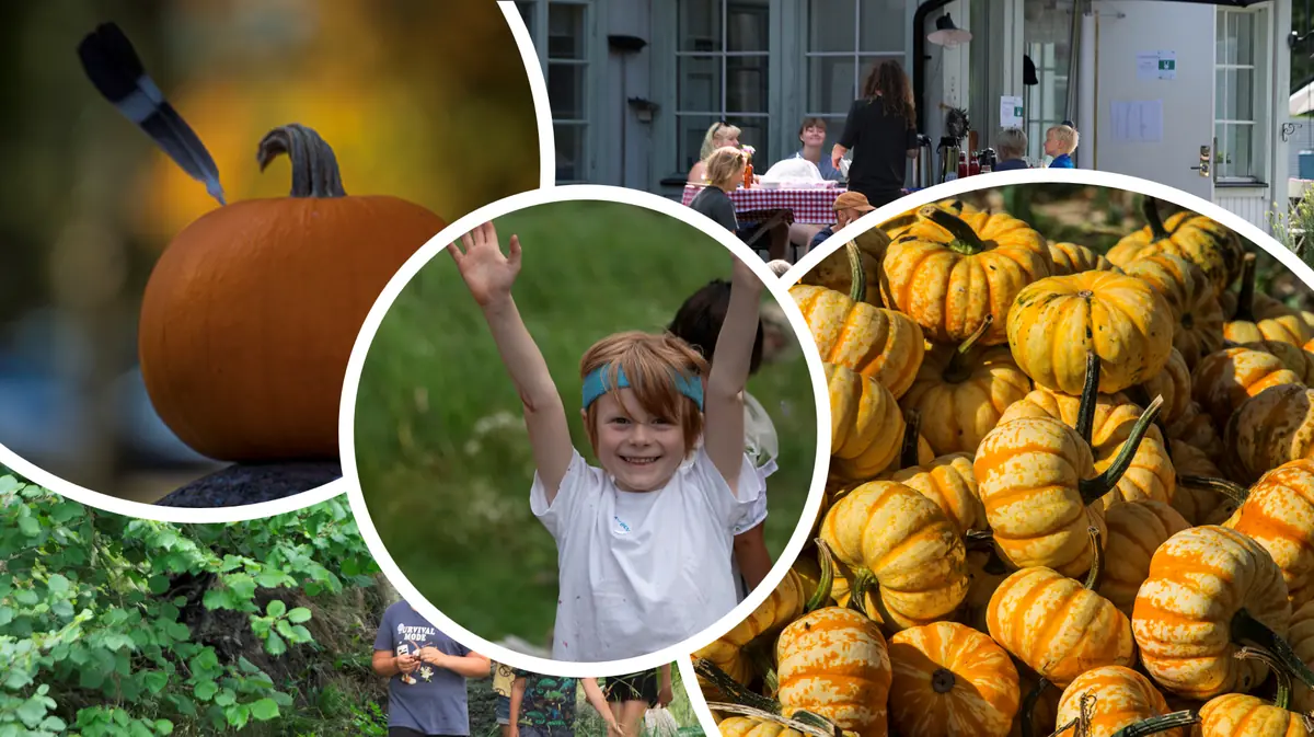 Barnen på Björkö, Halloween — Hembygdsgården, Björkö