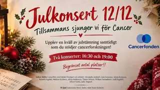 Christmas Concert 12/12 16:30