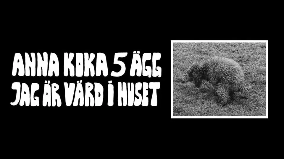 Anna Koka 5 Ägg Jag Är Värd i Huset — Mejeriet, Lund