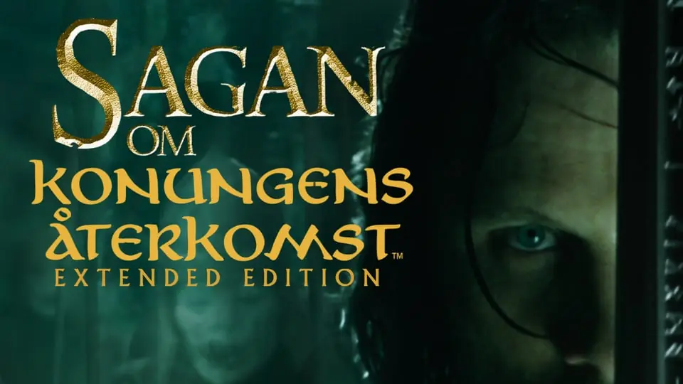 The Return of the King - WRONG VERSION — Bio Skandia, Stockholm
