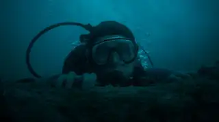 Whalefall