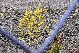 Det trollfuturistiska stadsbyggnadskontoret