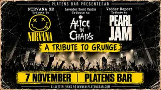 A TRIBUTE TO GRUNGE