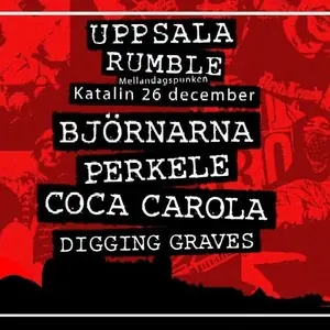 Digging Graves — Katalin, Uppsala