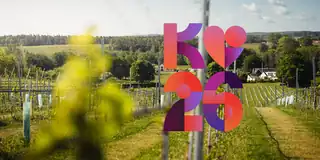 Smaka världens viner med Skepparps Vingård
