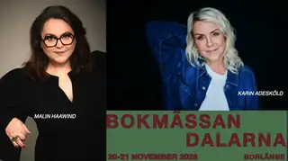Bokmässan Dalarna 2026