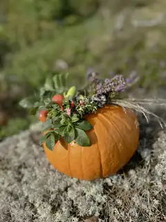 Pimpa din pumpa