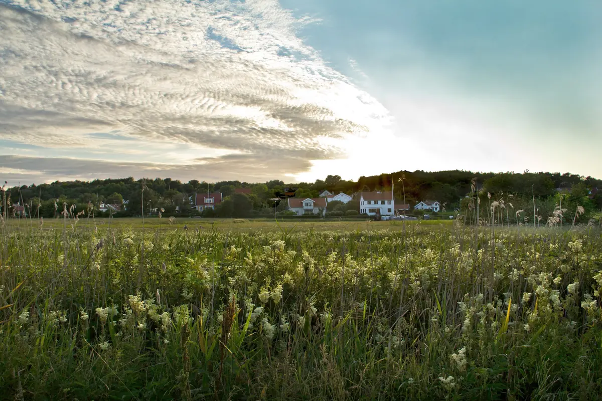 Brännö Värdshus