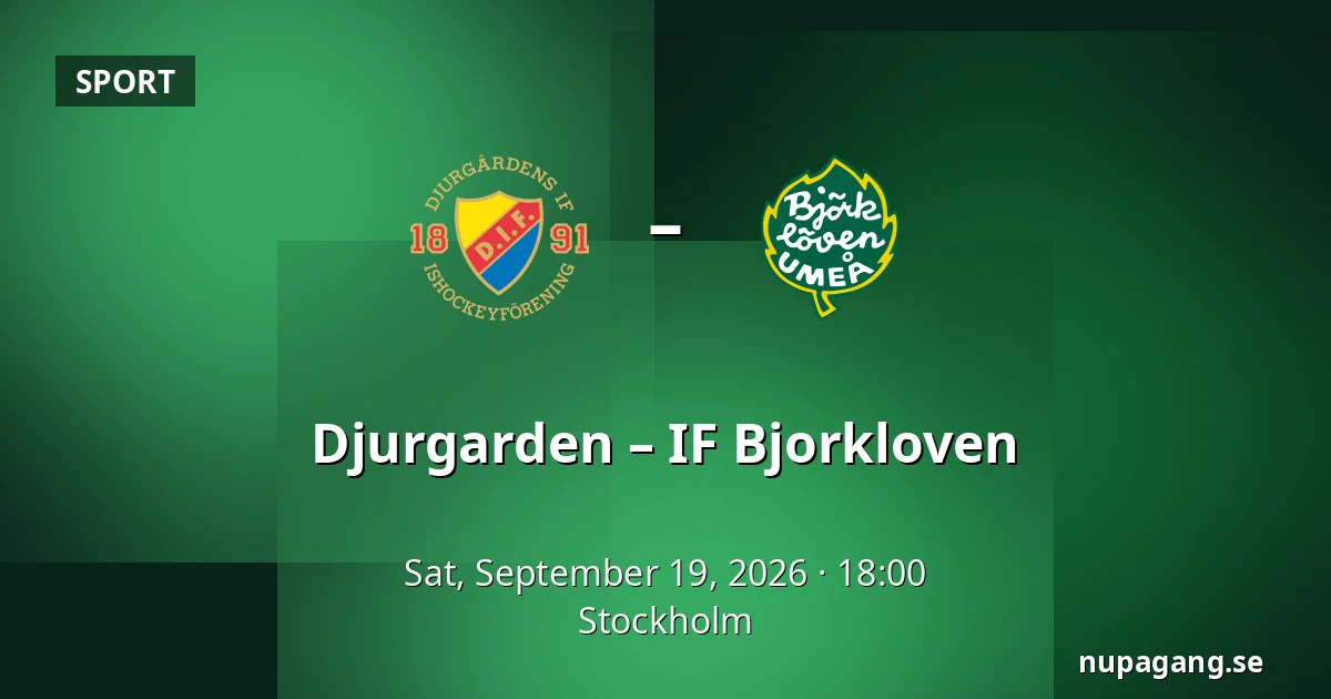 Djurgarden – IF Bjorkloven — Stockholm