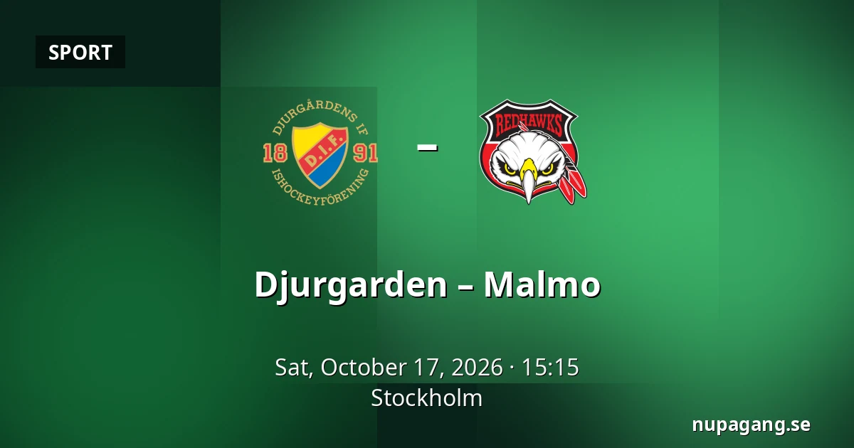 Djurgarden – Malmo — Stockholm