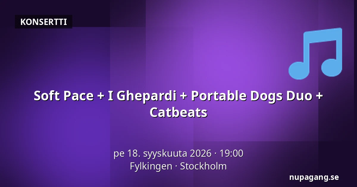 Soft Pace + I Ghepardi + Portable Dogs Duo + Catbeats — Fylkingen, Tukholma