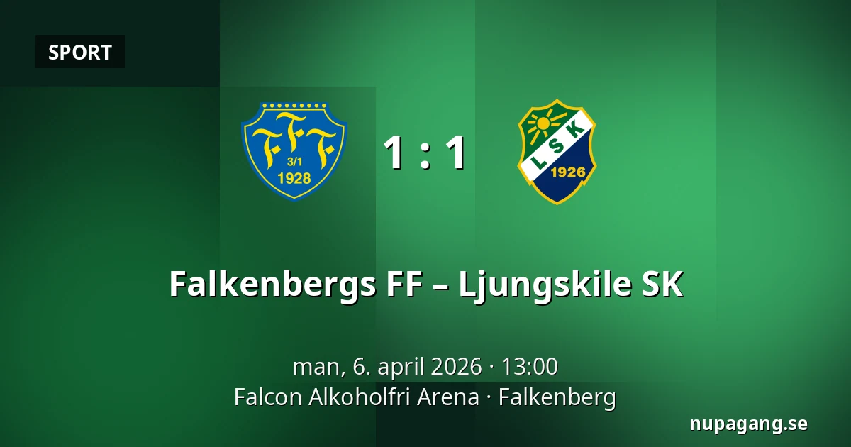 Falkenbergs FF – Ljungskile SK — Falcon Alkoholfri Arena, Falkenberg