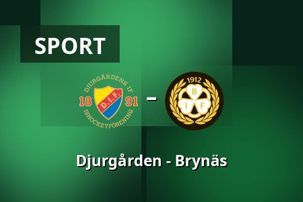 Djurgarden – Brynas — Stockholm