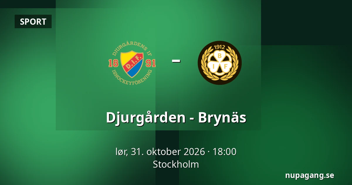 Djurgarden – Brynas — Stockholm