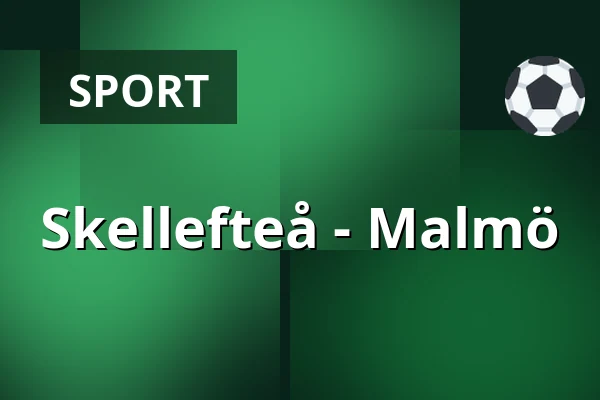 Skellefteå – Malmo — Skellefteå