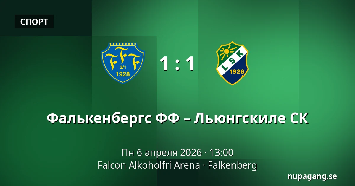 Фалькенбергс ФФ – Льюнгскиле СК — Falcon Alkoholfri Arena, Falkenberg