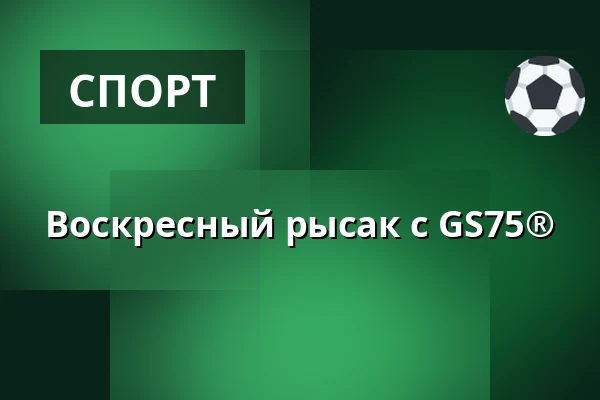 Воскресный рысак с GS75® — Solvalla, Стокгольм