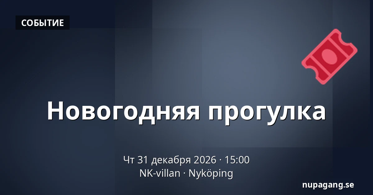 Новогодняя прогулка — NK-villan, Нючёпинг