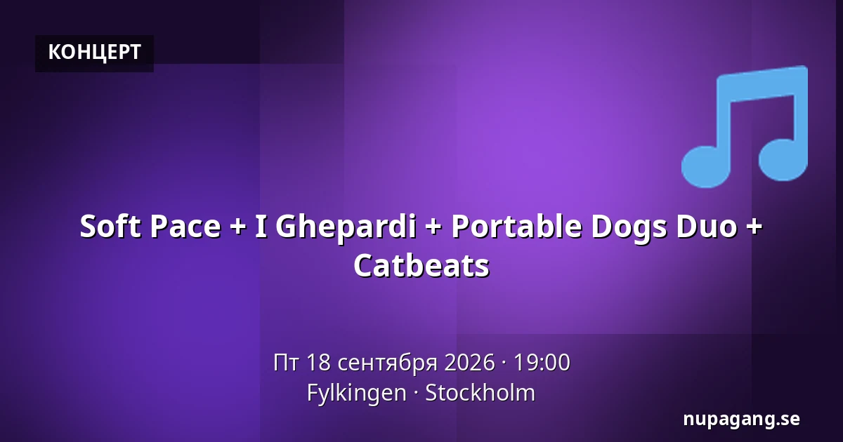Soft Pace + I Ghepardi + Portable Dogs Duo + Catbeats — Fylkingen, Стокгольм