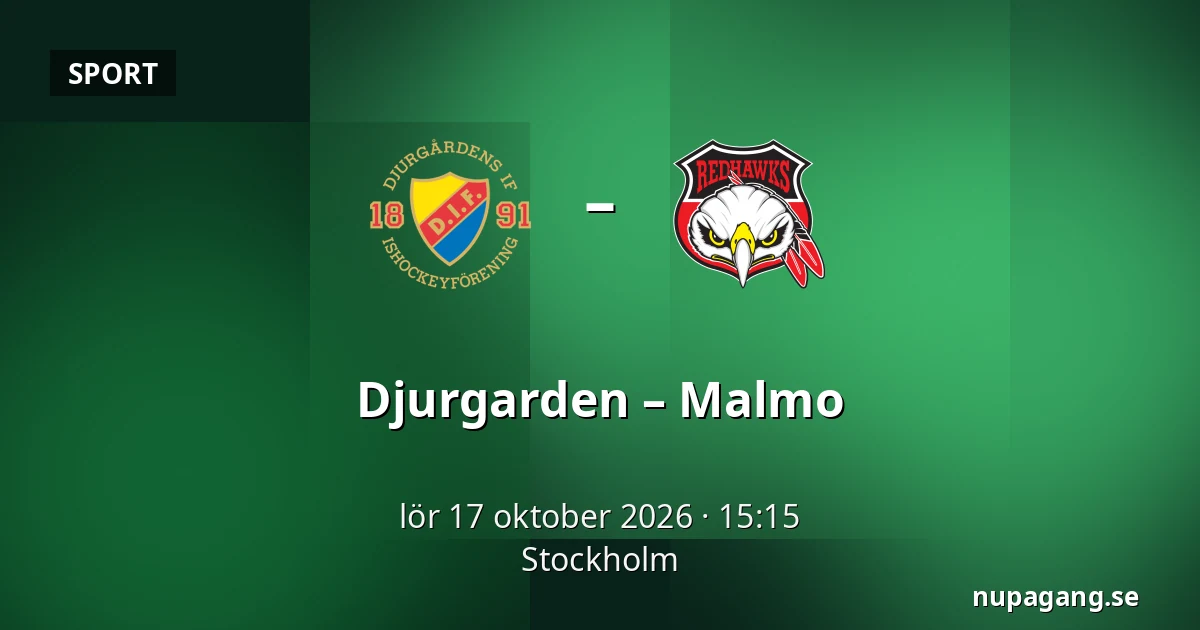Djurgarden – Malmo — Stockholm