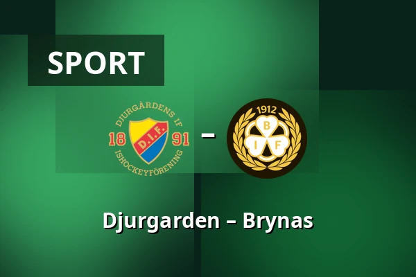 Djurgarden – Brynas — Stockholm