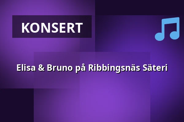 Elisa & Bruno på Ribbingsnäs Säteri — Ribbingsnäs Ladugård, Forserum