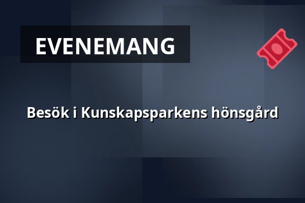 Besök i Kunskapsparkens hönsgård — Kunskapsparken Brunnshög, Lund