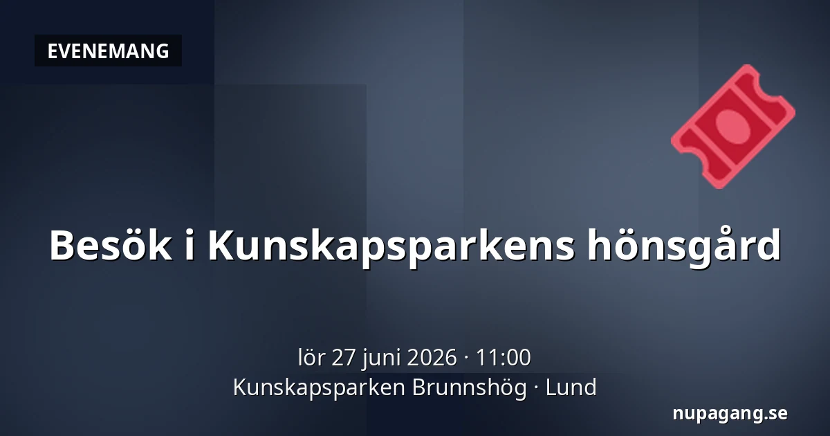 Besök i Kunskapsparkens hönsgård — Kunskapsparken Brunnshög, Lund