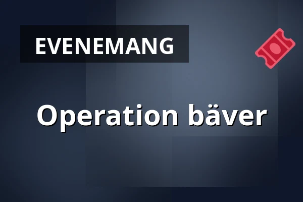 Operation bäver — Storm Salong 1, Grebbestad
