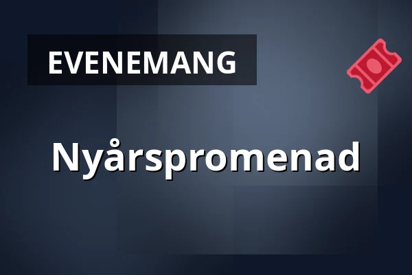 Nyårspromenad — NK-villan, Nyköping