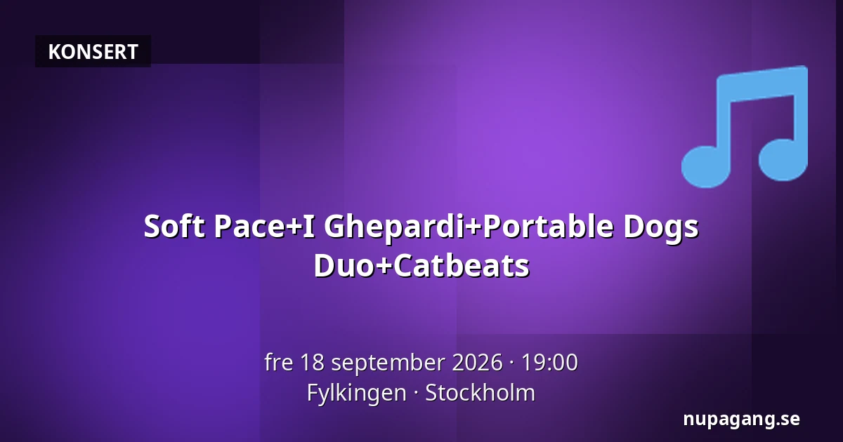 Soft Pace+I Ghepardi+Portable Dogs Duo+Catbeats — Fylkingen, Stockholm