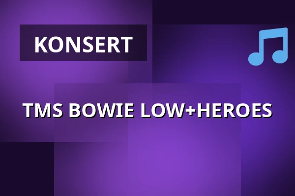 TMS BOWIE LOW+HEROES — Katalin, Uppsala